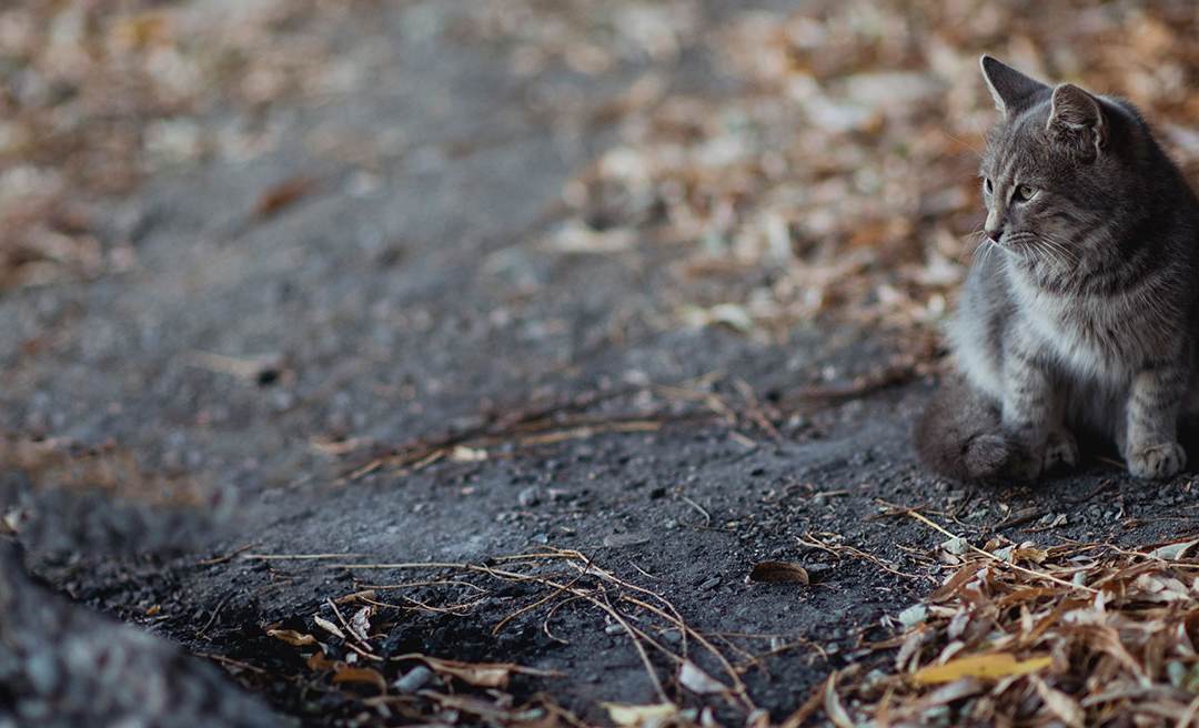 Accessible places to visit